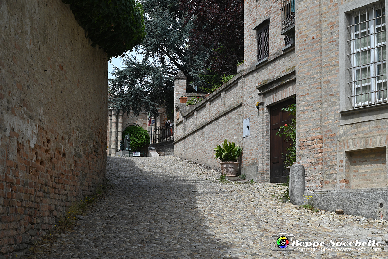 VBS_2810 - Neive.jpg